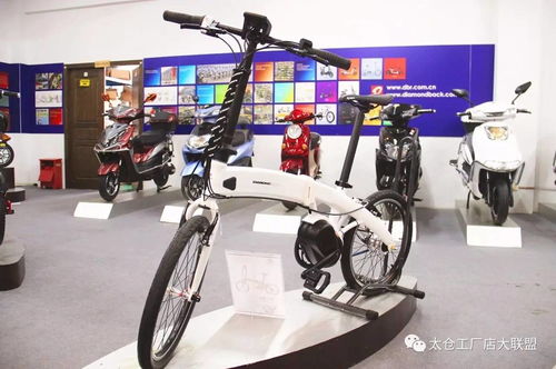 开仓抢购！大名电动车工厂店超值特卖会震撼来袭，换购价999元起