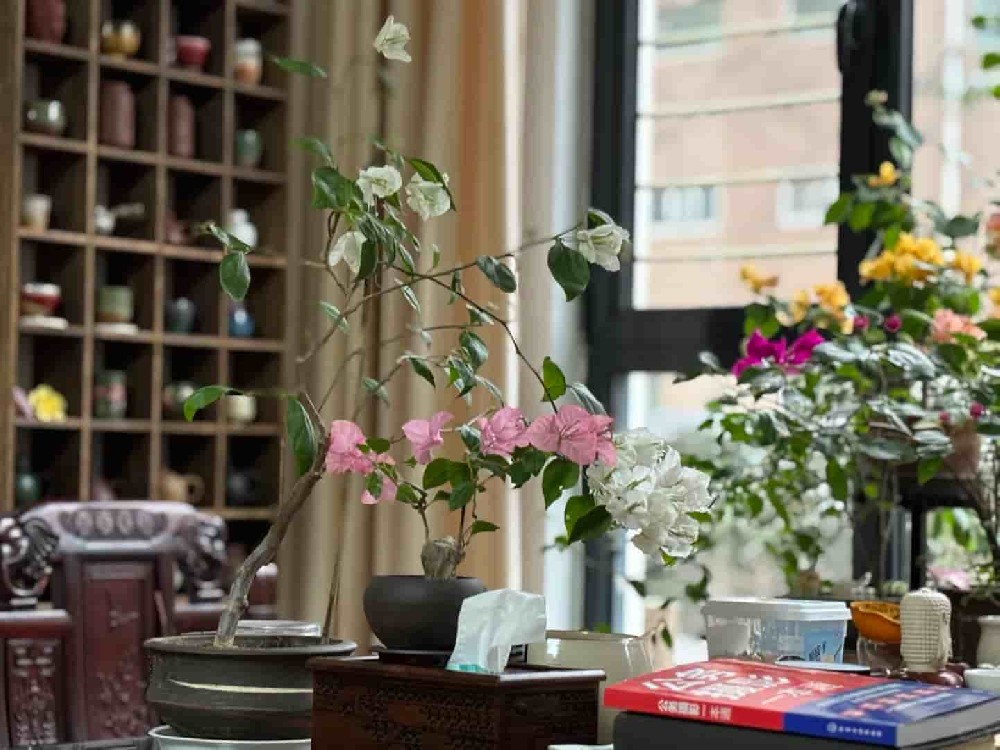 茶画赏析文徵明品茶图的文人雅趣
